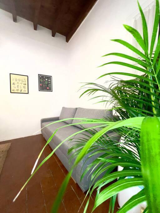 Casa Centro Firenze Wi Fi Aria Condizionata Netflix Apartment Exterior photo